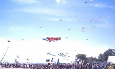 Kite Fest on Neshotah Park Beach